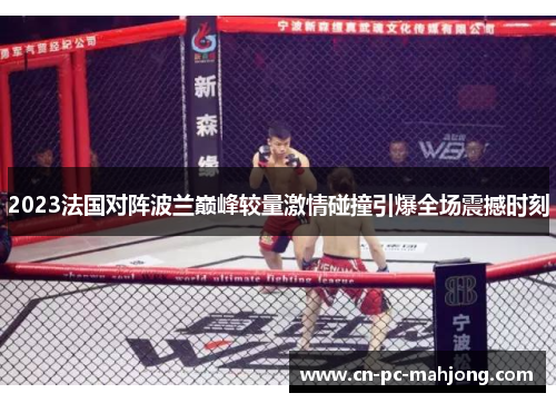 2023法国对阵波兰巅峰较量激情碰撞引爆全场震撼时刻