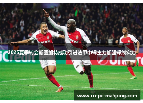 2025夏季转会斯图加特成功引进法甲中锋主力加强锋线实力